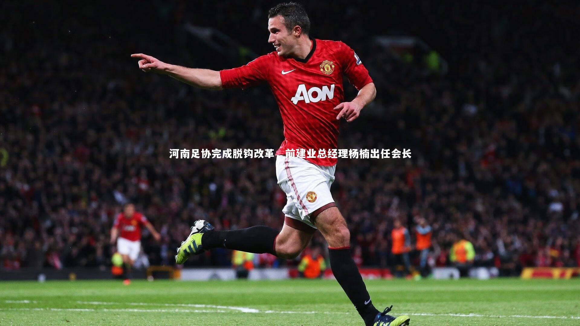 河南足协完成脱钩改革,前建业总经理杨楠出任会长